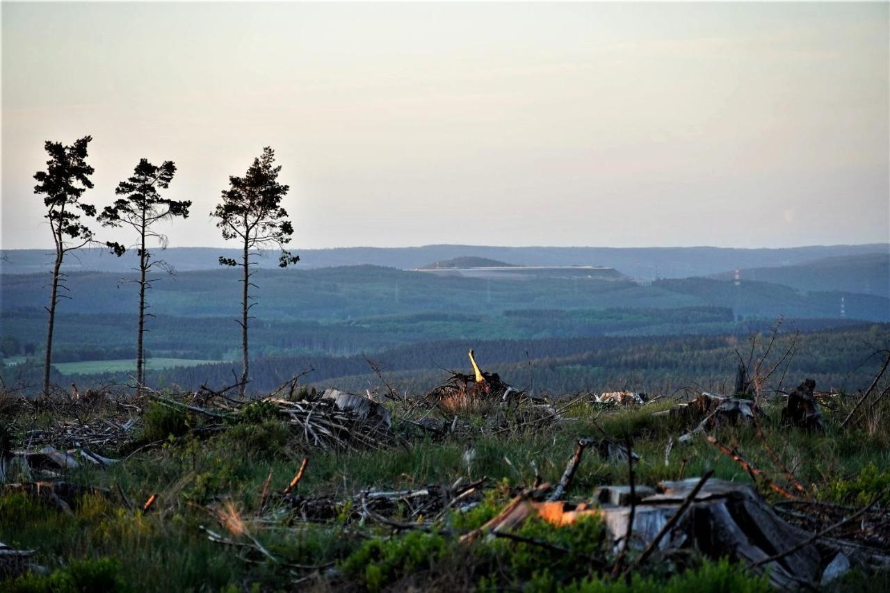 "Petite Perle En Haute Ardenne" Avec Vue Sur La Vallee, Cabine Infra-Rouge Et Bain Balneo Lierneux Buitenkant foto